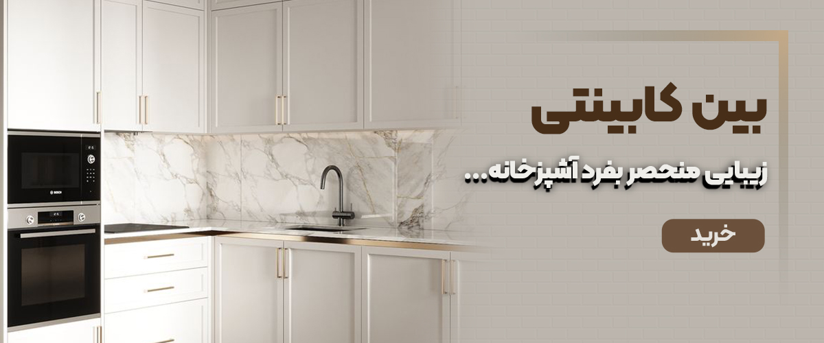بین کابینتی