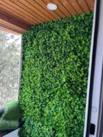 گرین وال برگ برزیلی - Image 3