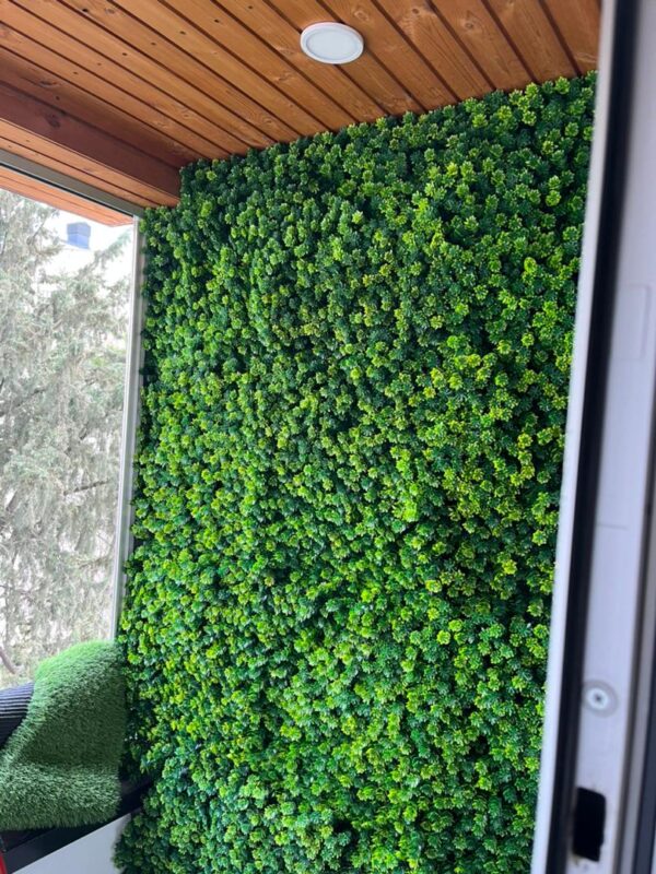 گرین وال برگ برزیلی - Image 3