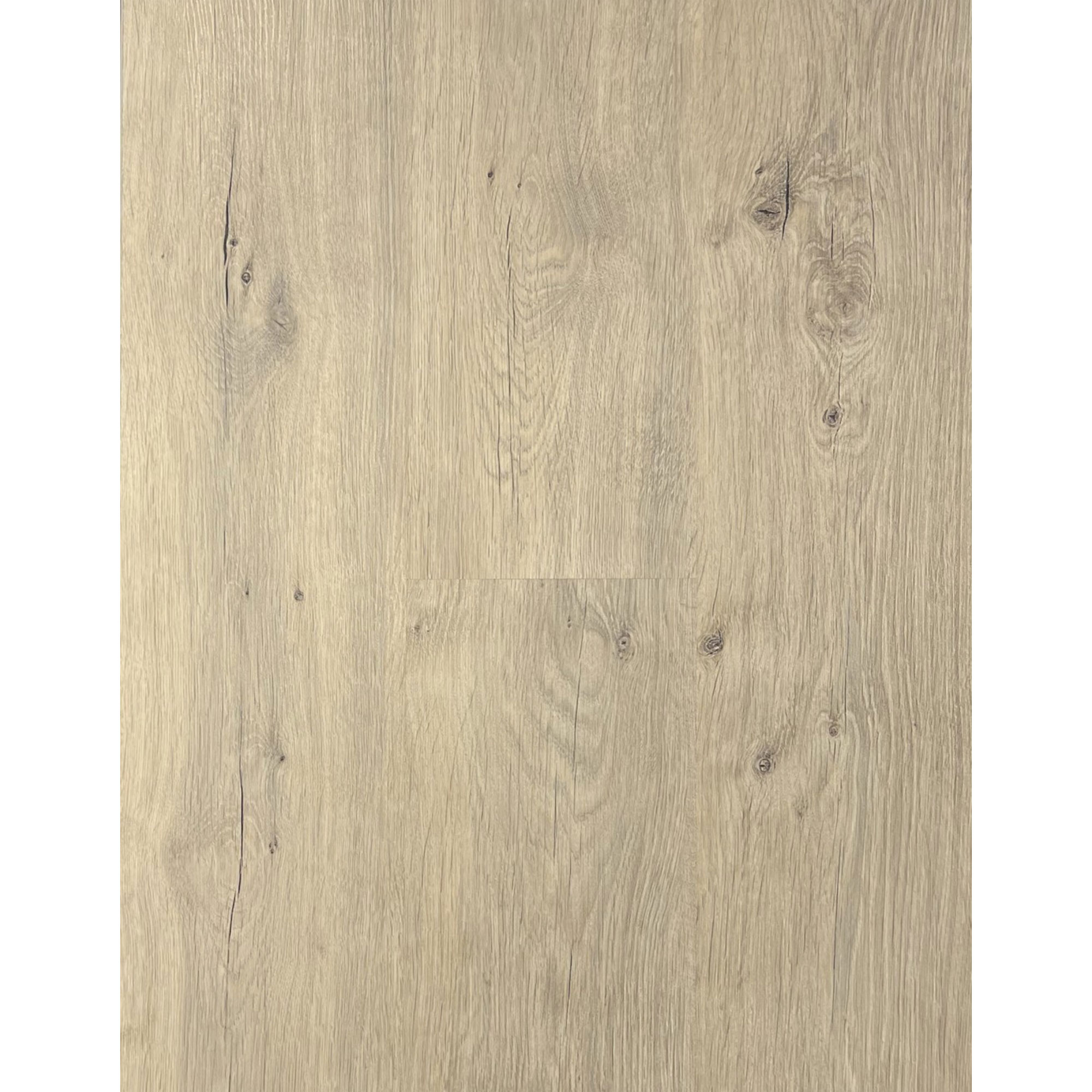 036a91.jpg پارکت لمینت Root کد 1703 - Image 1