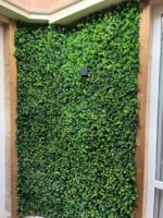 گرین وال برگ شمشادی - Image 5