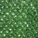 فنس چمنی چشمه 5 (کم تراکم)