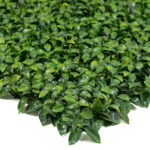 گرین وال برگ پرتقالی