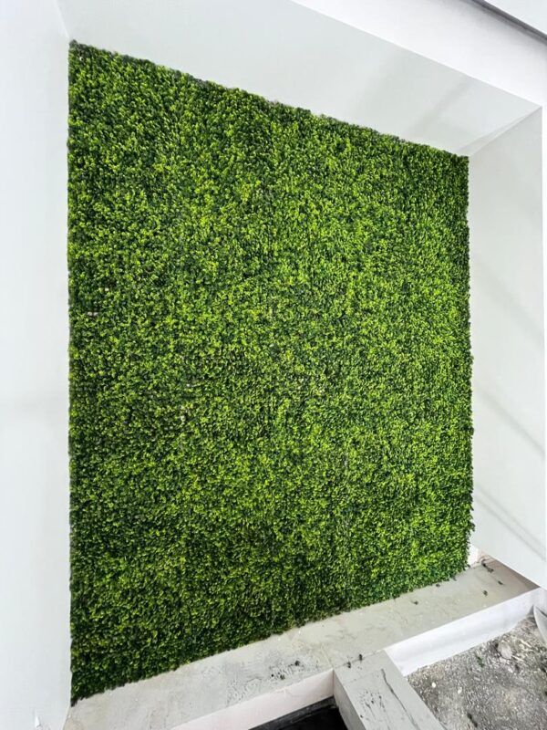 گرین وال برگ نیلوفری - Image 3