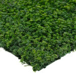 گرین وال برگ نیلوفری