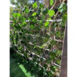 حصار آکاردئونی برگ ریز - Image 3