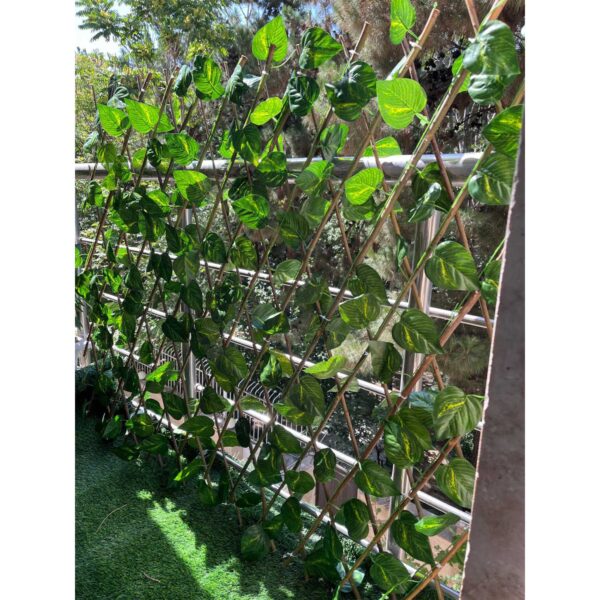 حصار آکاردئونی برگ ریز - Image 3