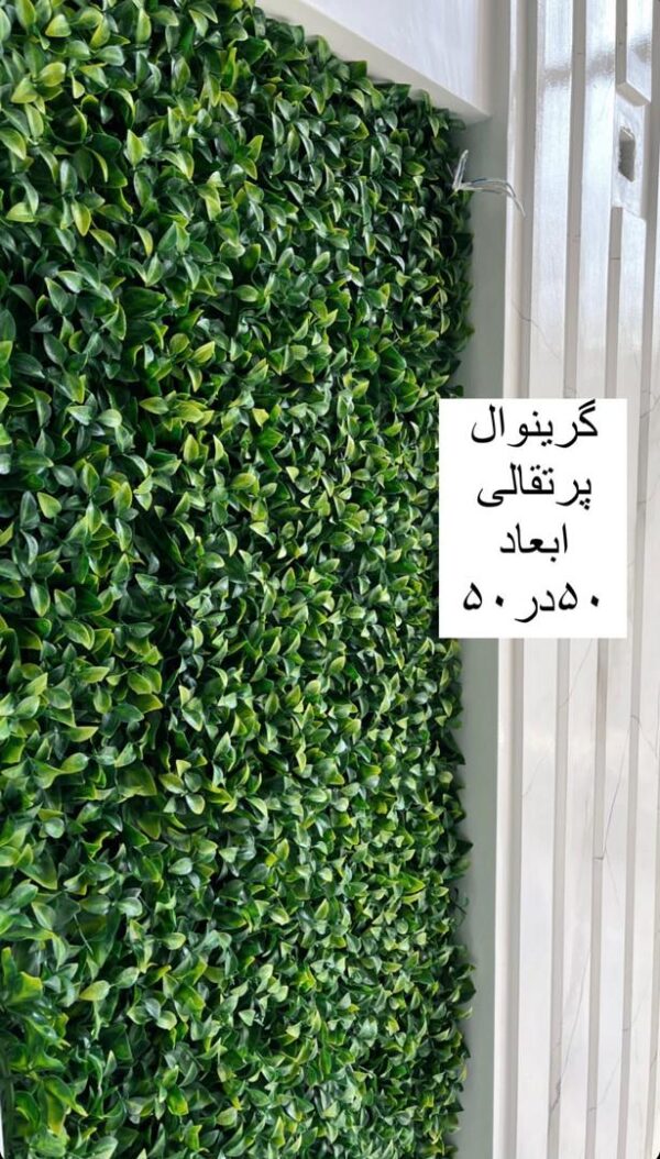 گرین وال برگ پرتقالی - Image 3