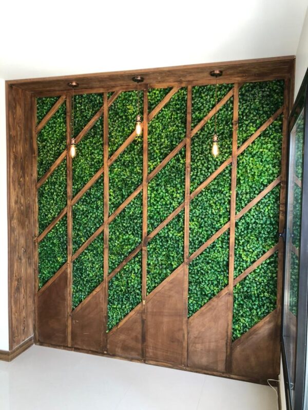 گرین وال برگ پرتقالی - Image 4