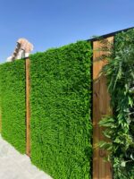 گرین وال برگ شمشادی - Image 3