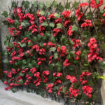 حصار آکاردئونی برگ ریز - Image 4