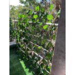 حصار آکاردئونی برگ ریز - Image 2