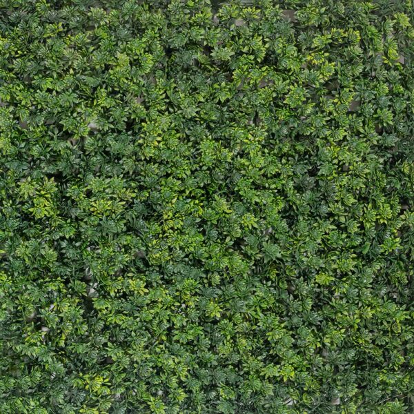 گرین وال برگ نیلوفری - Image 2